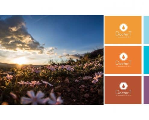 Doctor T visual identity logo colors fonts homeocosmetics 11