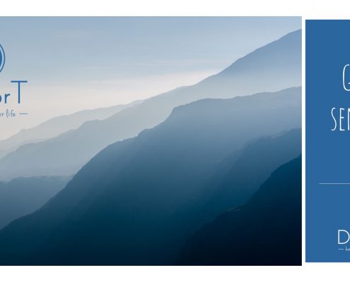 Doctor T visual identity logo colors fonts homeocosmetics 13