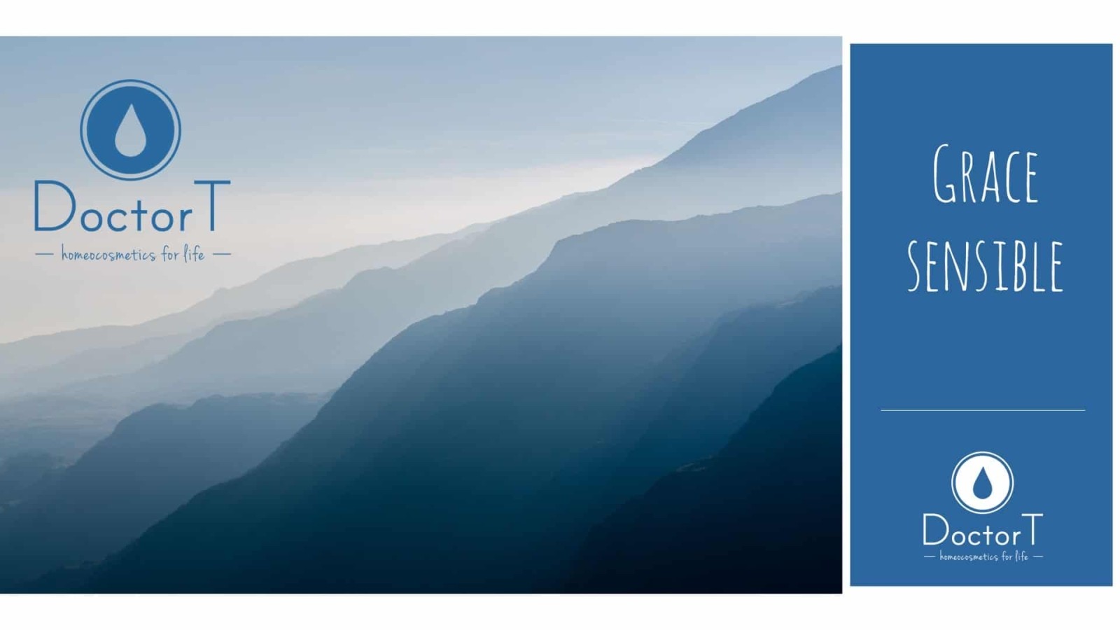 Doctor T visual identity logo colors fonts homeocosmetics 13