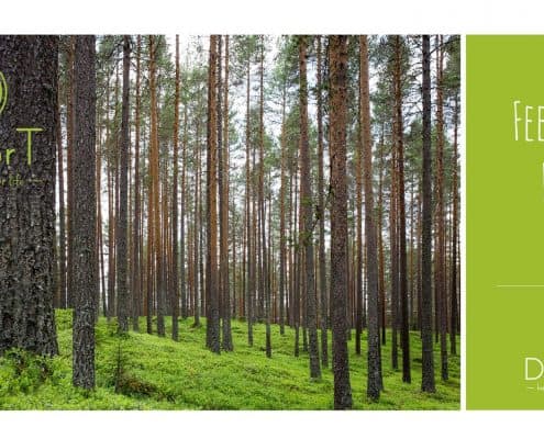 Doctor T visual identity logo colors fonts homeocosmetics 14