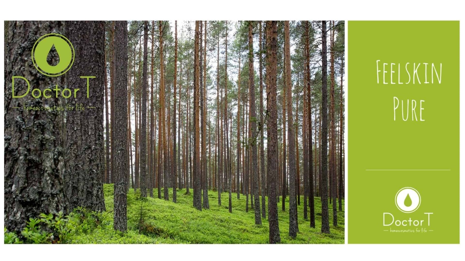 Doctor T visual identity logo colors fonts homeocosmetics 14