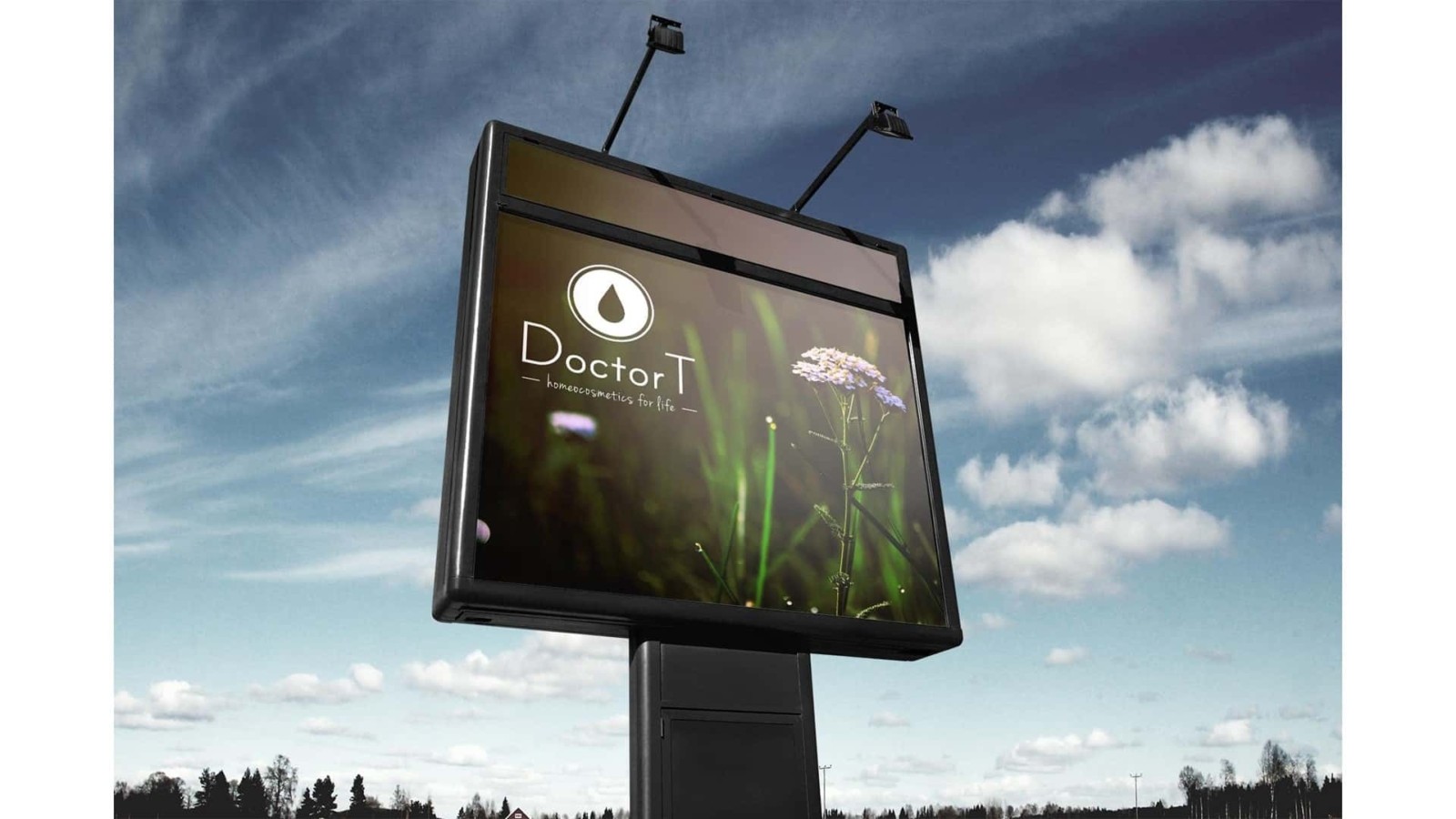 Doctor T visual identity logo colors fonts homeocosmetics 21