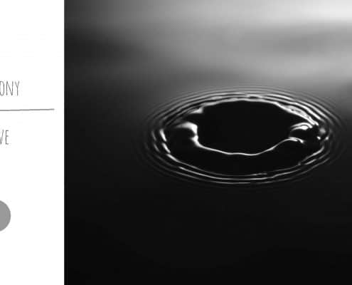 Doctor T visual identity logo colors fonts homeocosmetics 5