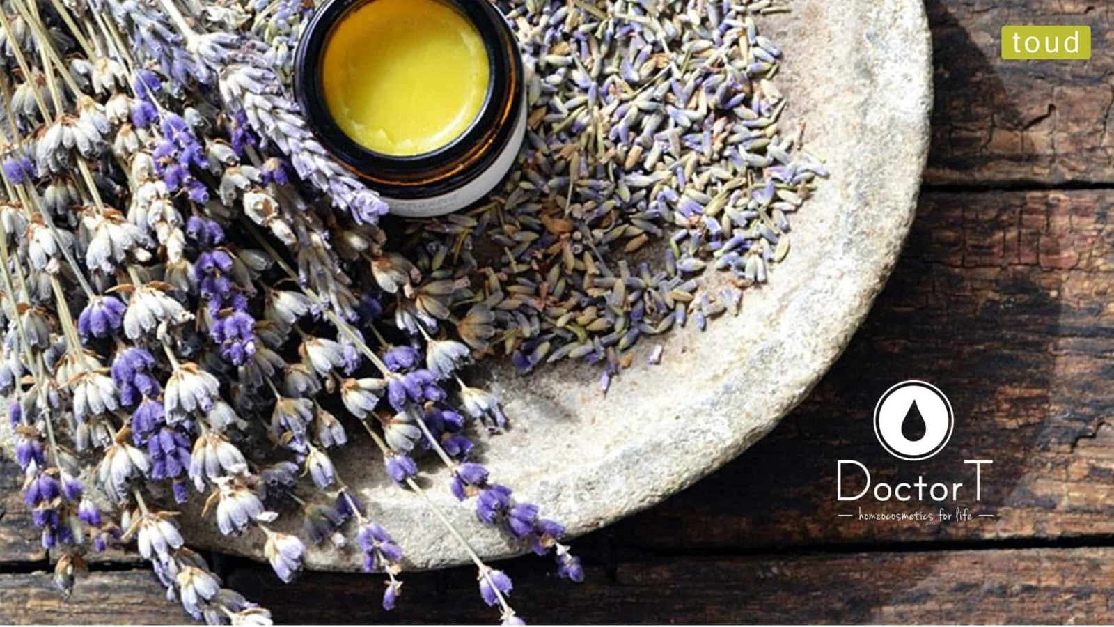 Doctor T visual identity logo colors fonts homeocosmetics 7