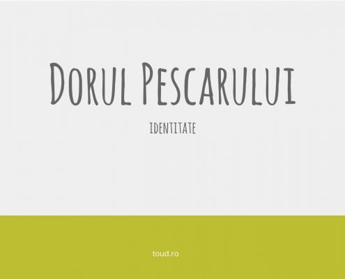 Dorul Pescarului turism Valsan accomodation branding logo design identity toud 1
