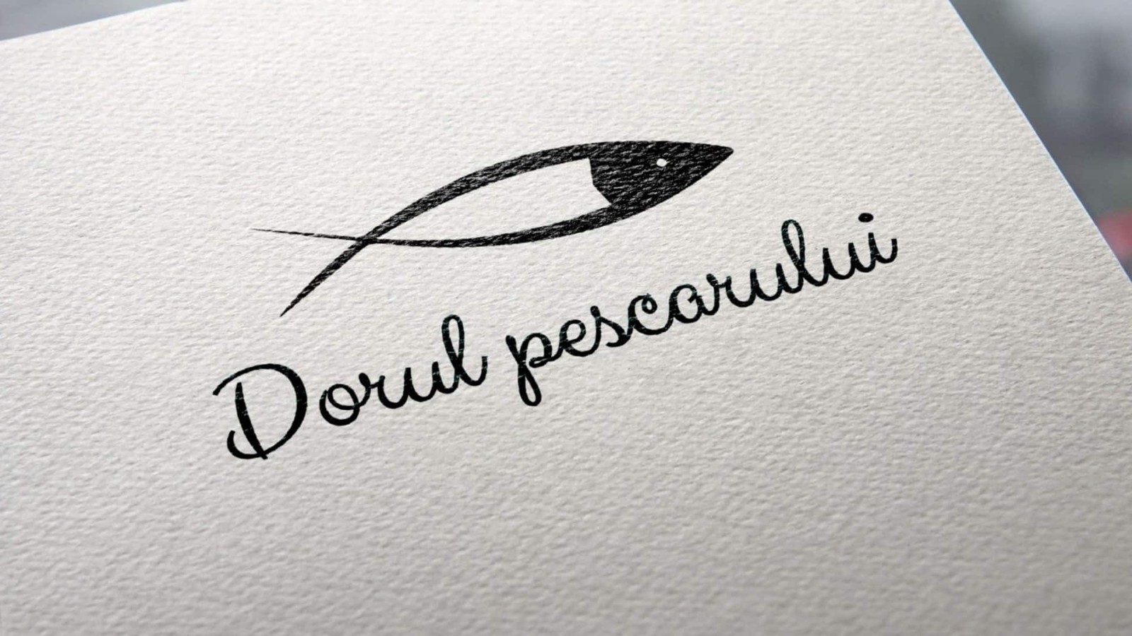 Dorul Pescarului turism Valsan accomodation branding logo design identity toud 13
