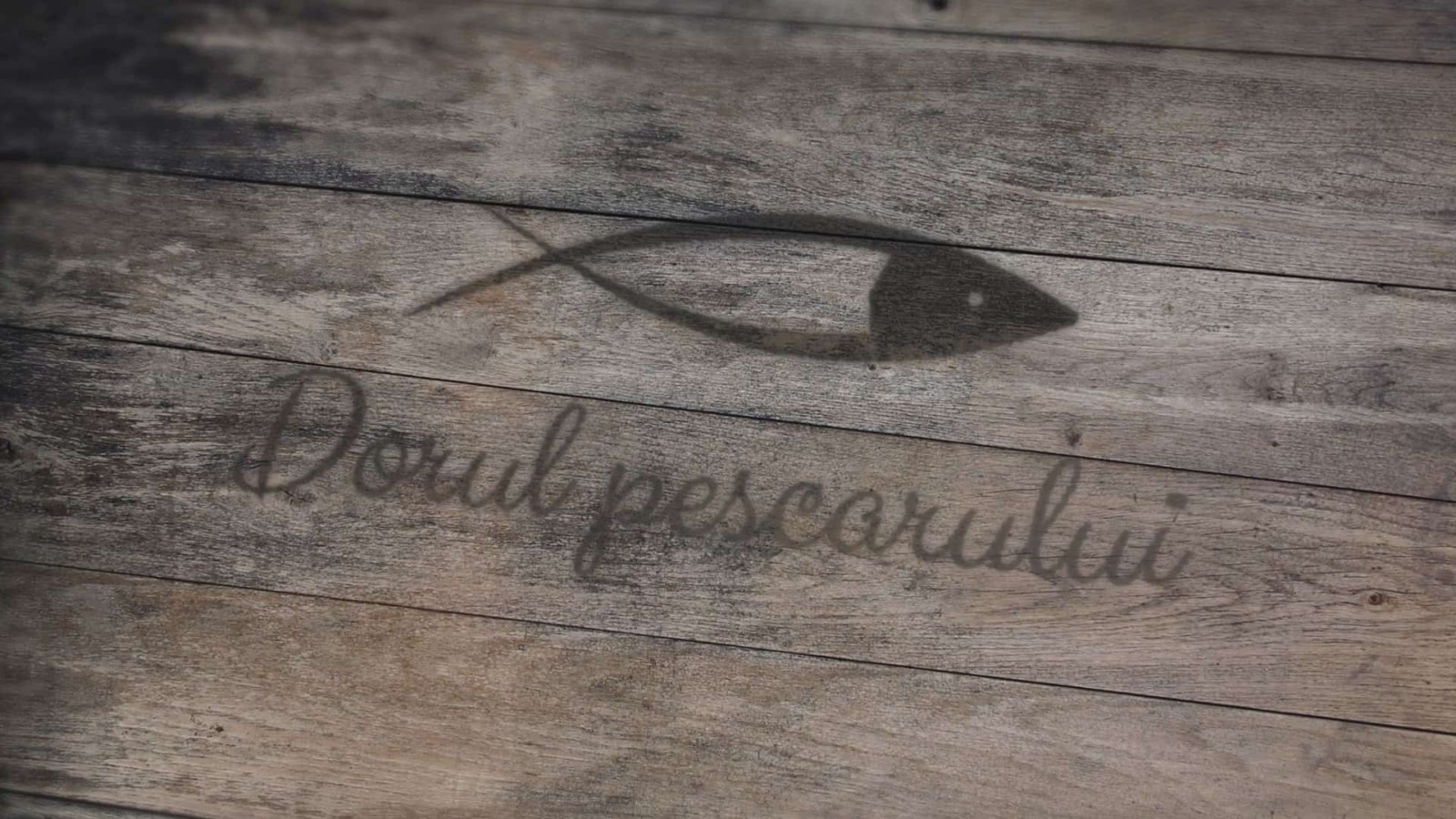 Dorul Pescarului turism Valsan accomodation branding logo design identity toud 20