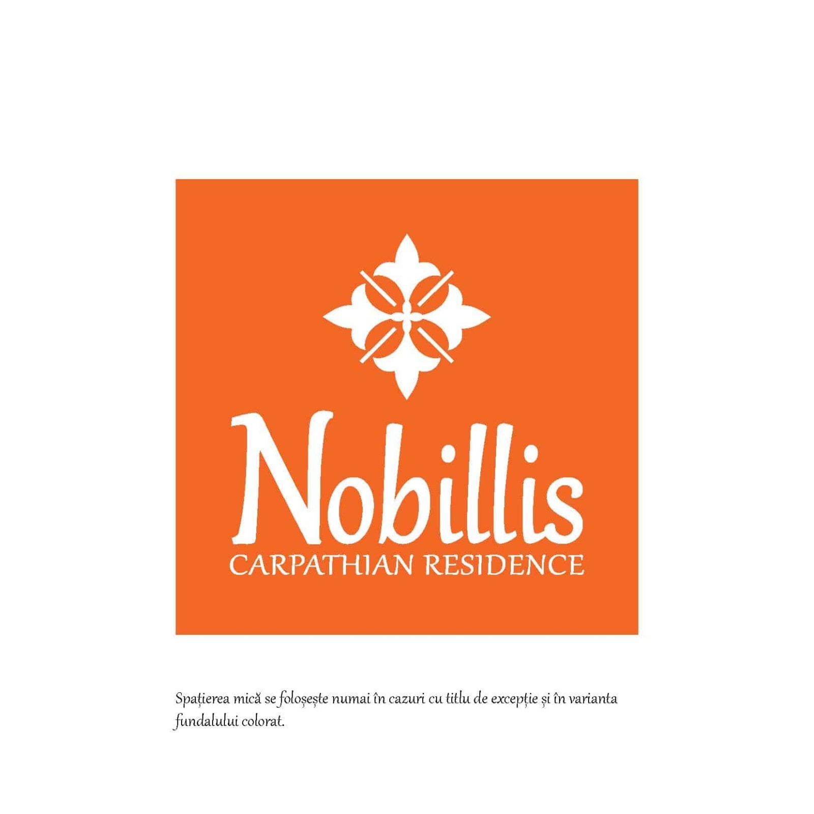 Styling Guide Nobillis, Toud Design Agency, Identity design