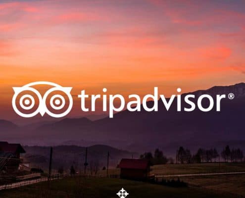 Styling Guide Nobillis, Toud Design Agency, Identity design