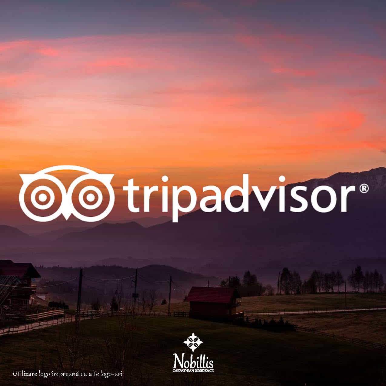 Styling Guide Nobillis, Toud Design Agency, Identity design