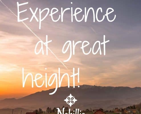 Styling Guide Nobillis, Toud Design Agency, Identity design