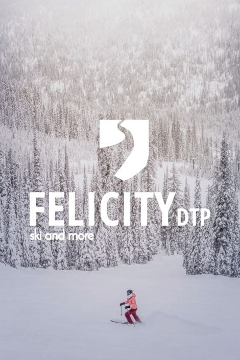 website ski branding ski logo ski website sports branding sport logo sports 1