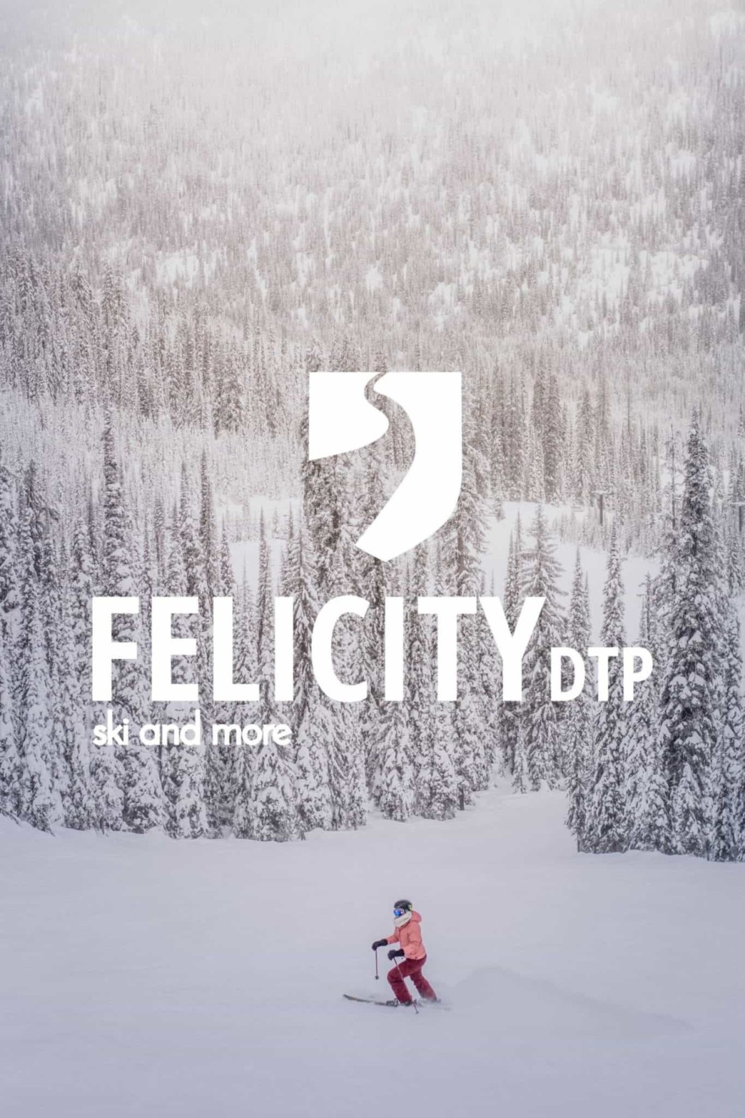 website ski branding ski logo ski website sports branding sport logo sports 1