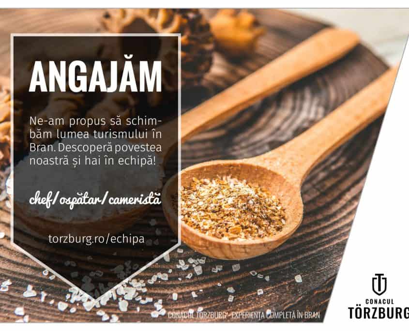Cum arata un anunt de angajare perfect nu stim dar stim cum arata unul profesionist 1
