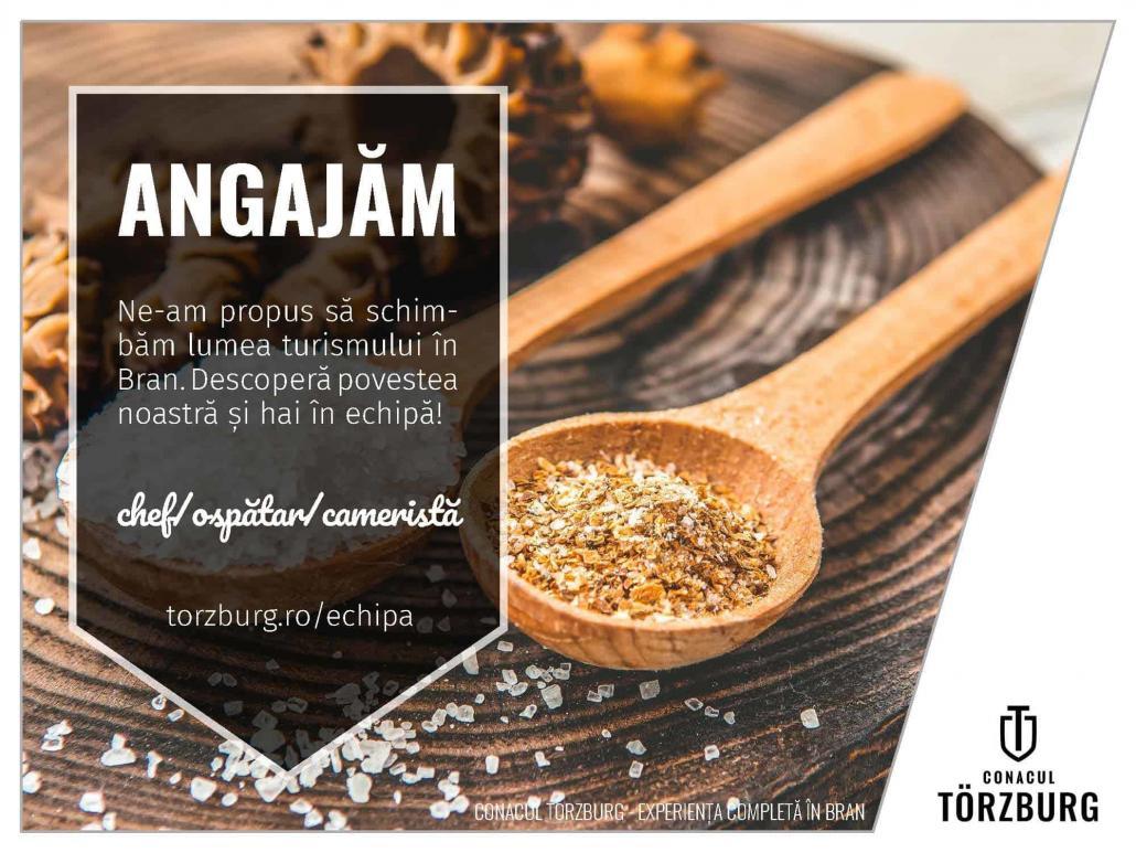 Torzburg Angajam Page