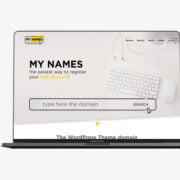 My Names - UI design for a domain registration website
