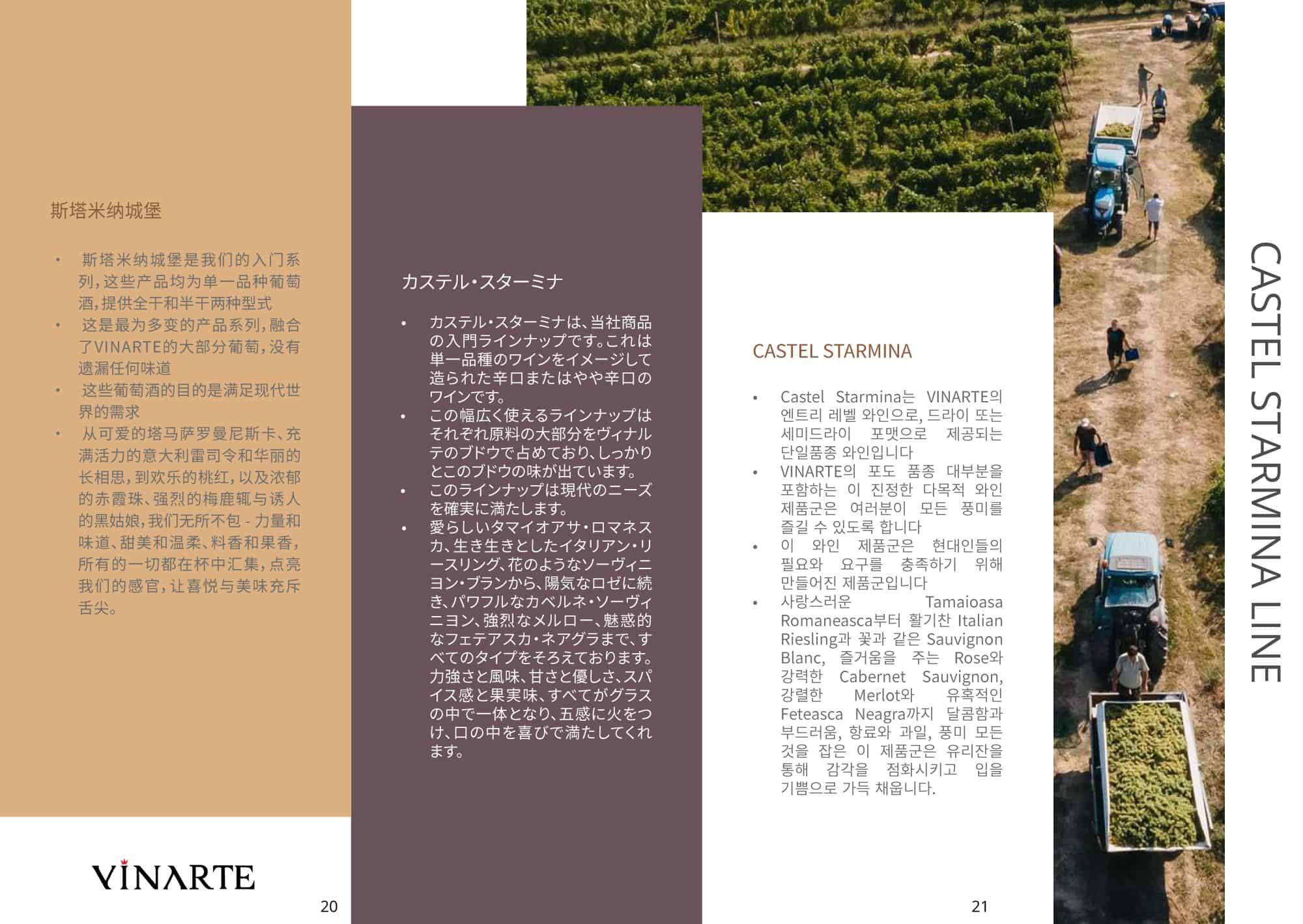 VINARTE – presentation brochure (4)