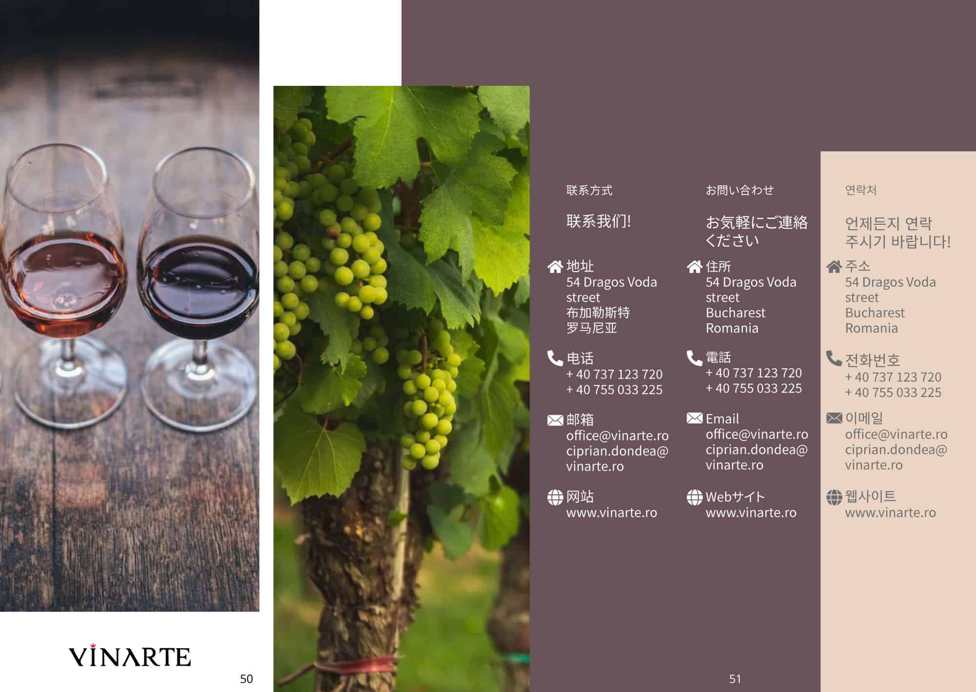 VINARTE – presentation brochure (7)