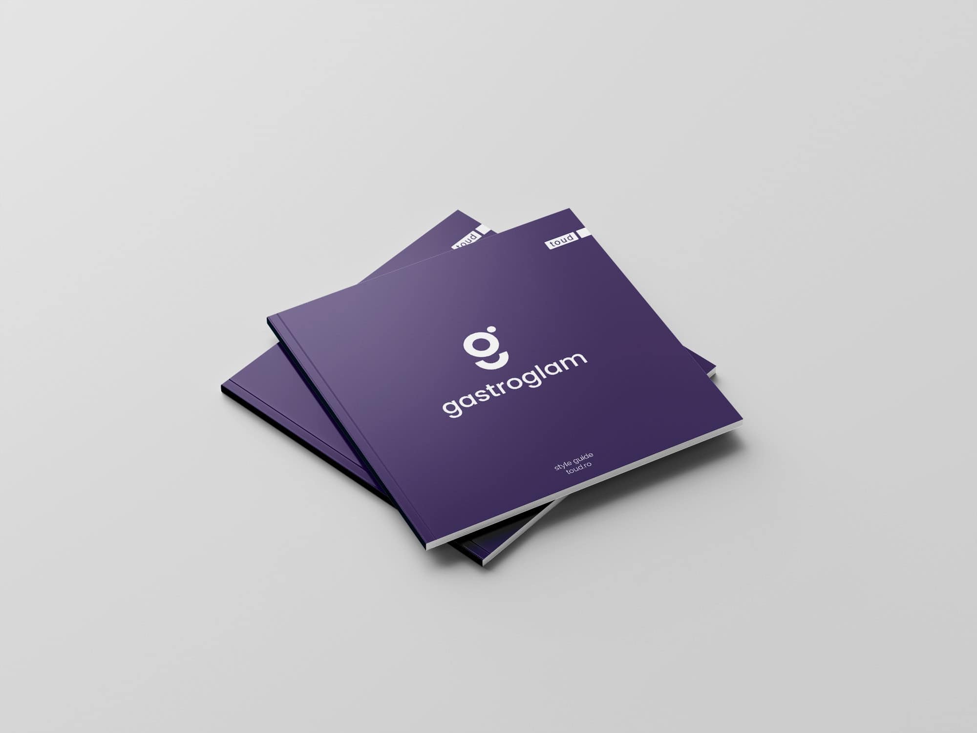 Style guide Gastroglam - visual identity- Toud