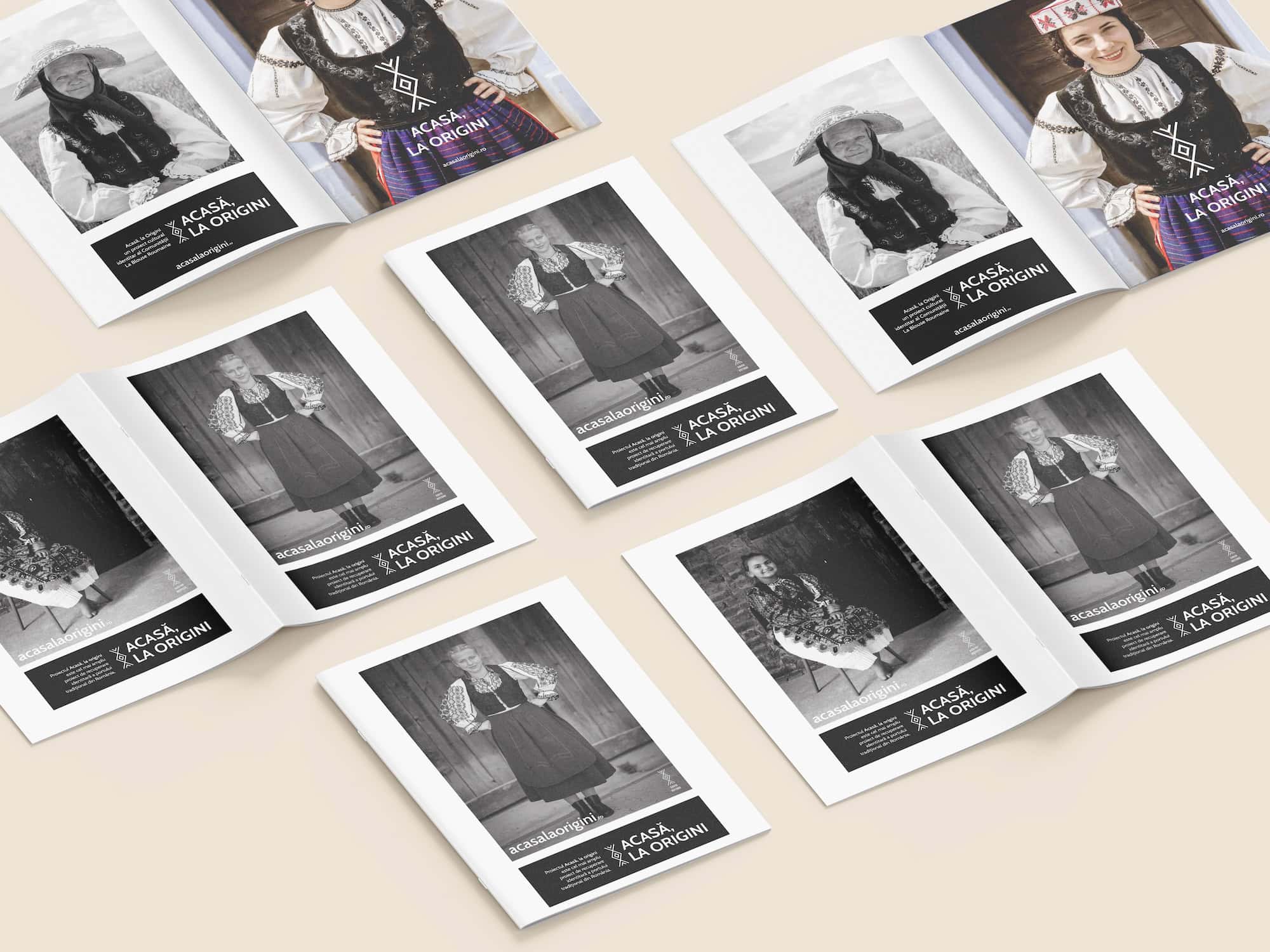 Home, at the Origins, branding, design, website - La Blouse Roumaine, IA, Toud