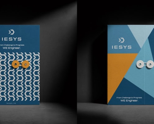 Cum pregatesti un salt — despre IESYS o companie de inginerie si transformarea prin care trece22