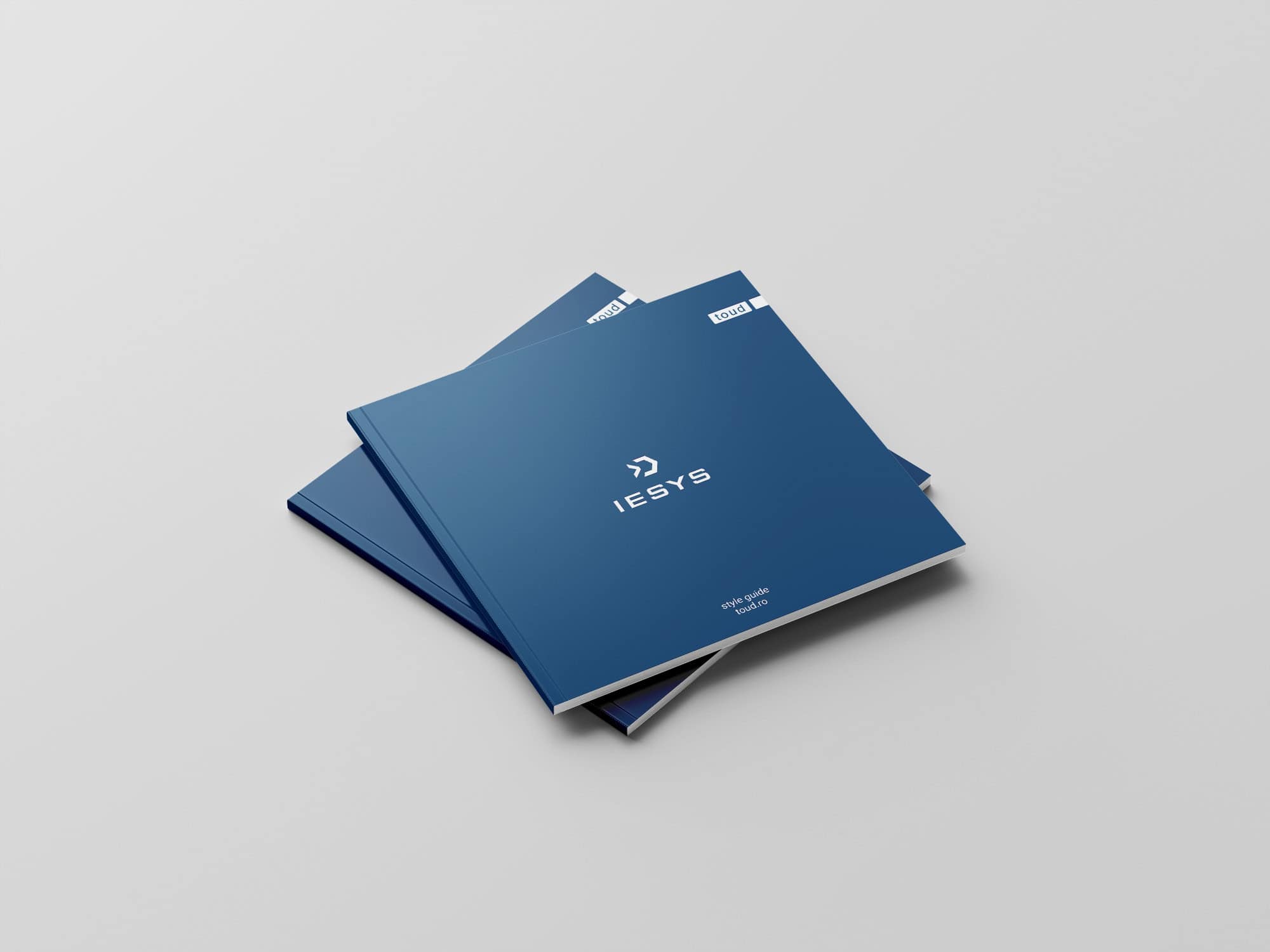 IESYS style guide, Toud, visual identity, logo design, branding